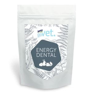 Bunny GoVet - Energy Dental