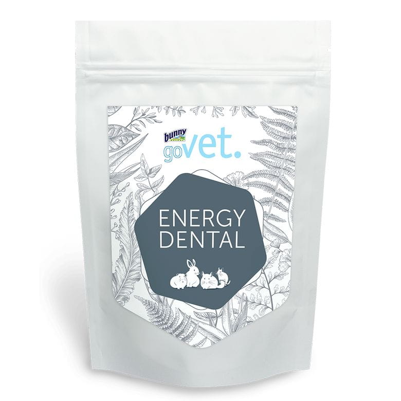 Bunny GoVet - Energy Dental