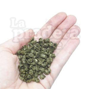 Chips  - Heno Samerberger