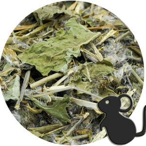 Cardo con Diente de León