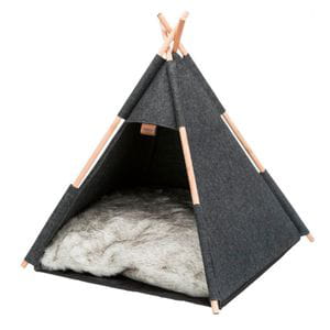 Cueva Tipi