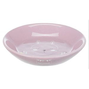 Plato de cerámica  - Animales divertidos