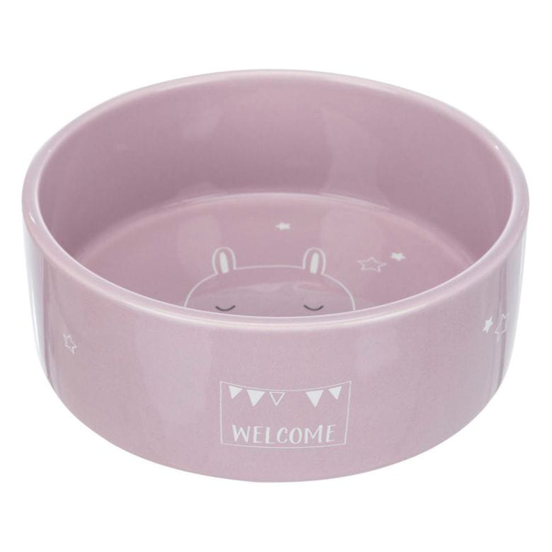 Cuenco de cerámica - Animales divertidos