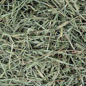 Small Pet Select - Heno Timothy 3er Corte