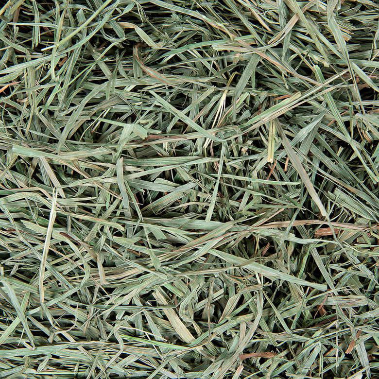 Small Pet Select - Heno Timothy 3er Corte