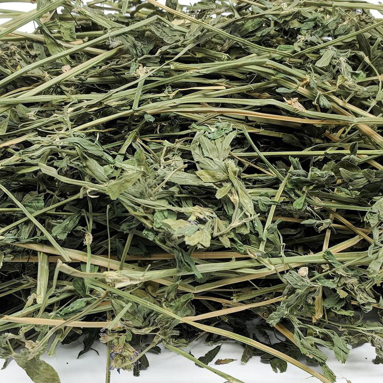 Small Pet Select - Heno de Alfalfa
