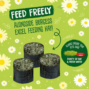 Burgess - Meadow Munchies 1Kg