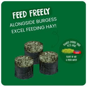 Burgess Excel - Meadow Munchies 1Kg