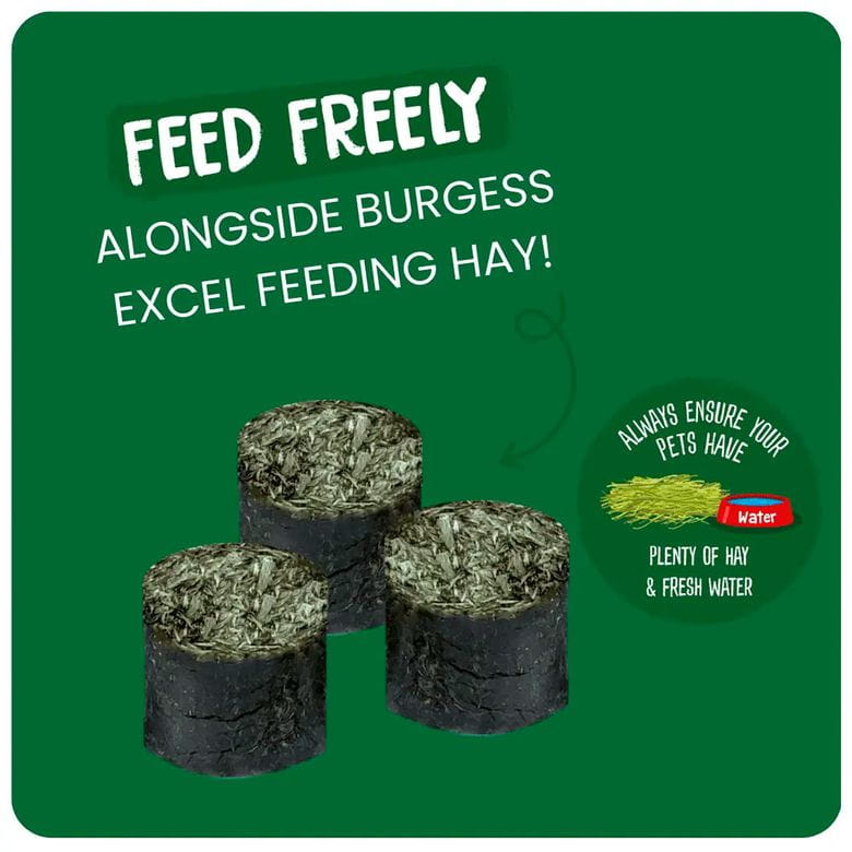 Burgess Excel - Meadow Munchies 1Kg