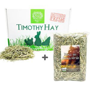 ¡Promo! Heno Timothy 1er Corte SPS + Avena verde LPO