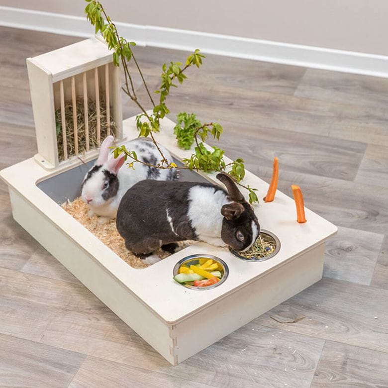 Estación de alimentación