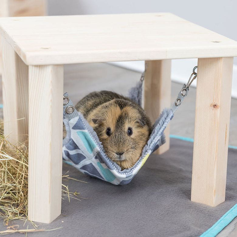 Plataforma & Hamaca colgante