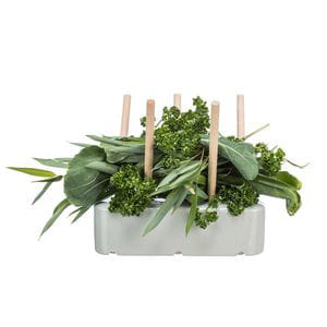 Base de cerámica para alimentos