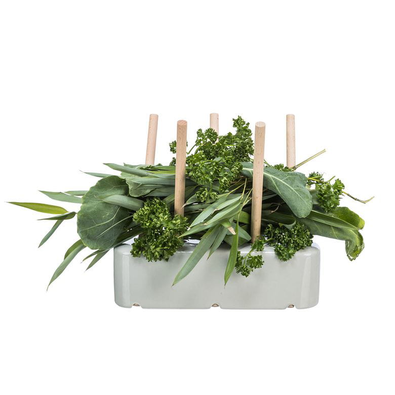 Base de cerámica para alimentos