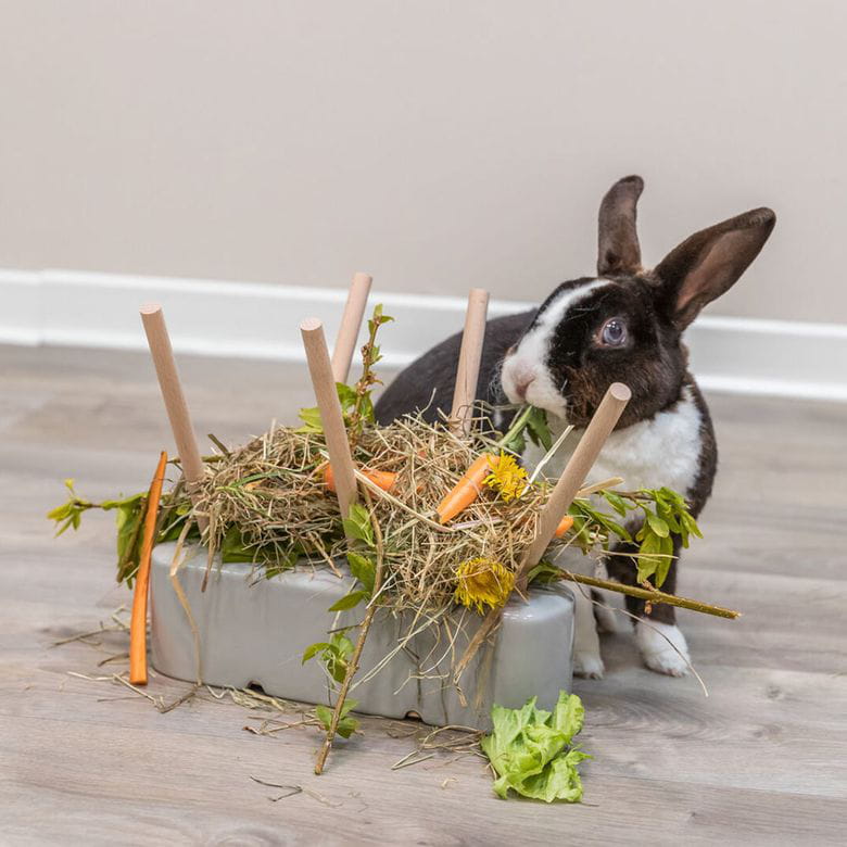 Base de cerámica para alimentos