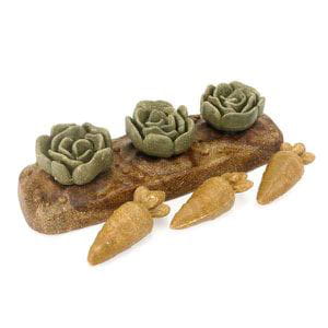 Huerto comestible - Cosecha y Juega