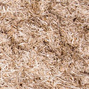 Bunny Bedding Linum