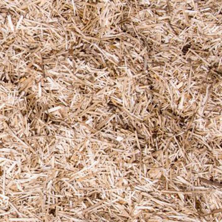 Bunny Bedding Linum