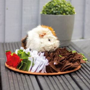 Alfombra de olfateo - Especial Navidad