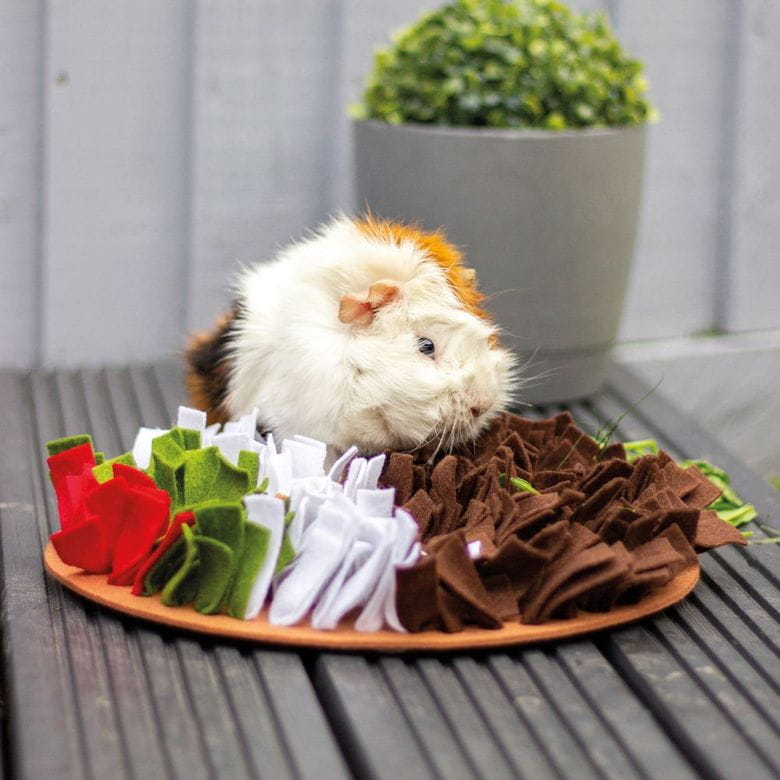 Alfombra de olfateo - Especial Navidad