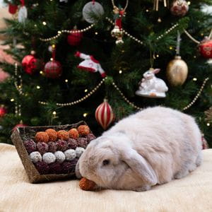 Bandeja de Adviento - Especial Navidad