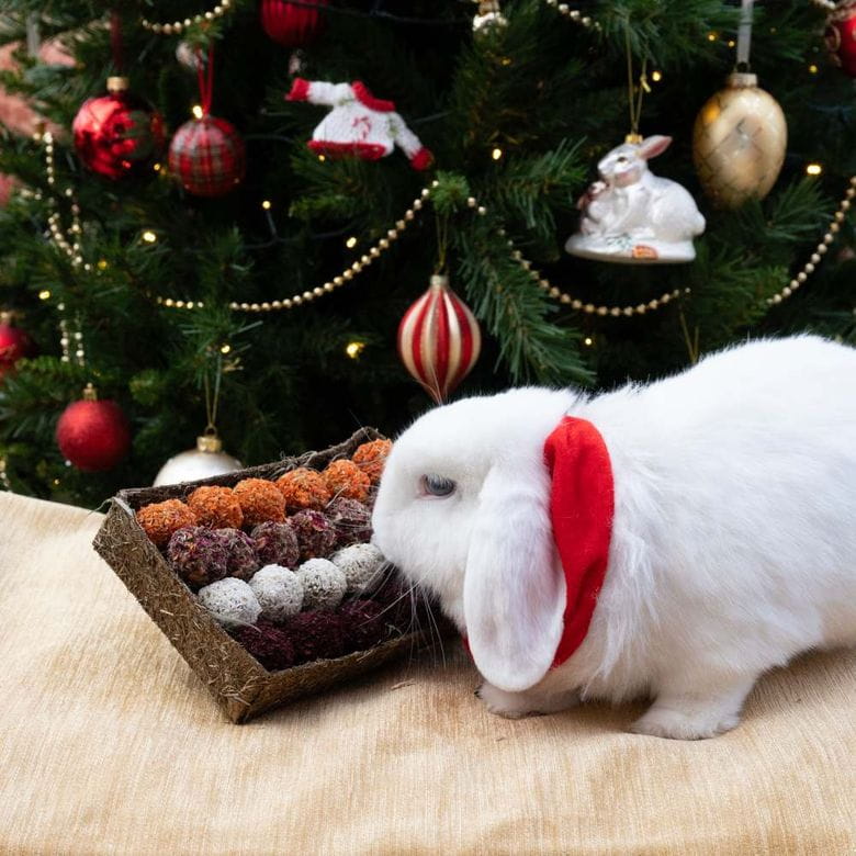 Bandeja de Adviento - Especial Navidad