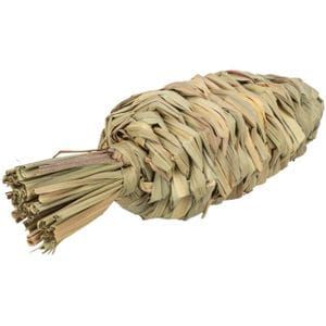 Zanahoria de hierba