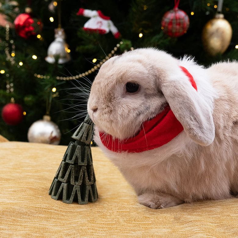 Arbol 3D - Especial navidad