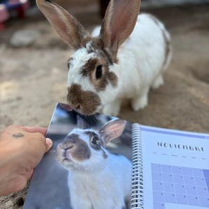 Agenda solidaria La Vedruna 2026