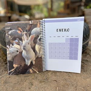 Agenda solidaria La Vedruna 2026