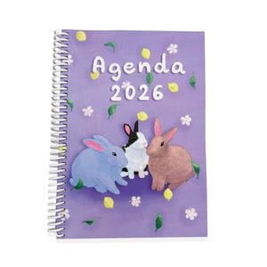 Agenda solidaria La Vedruna 2026