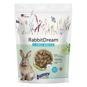Bunny Dream - Conejo Raza Grande