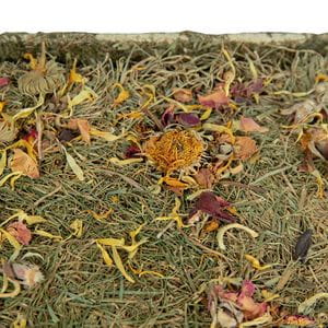 Parcelita para llevar - Raíces y flores