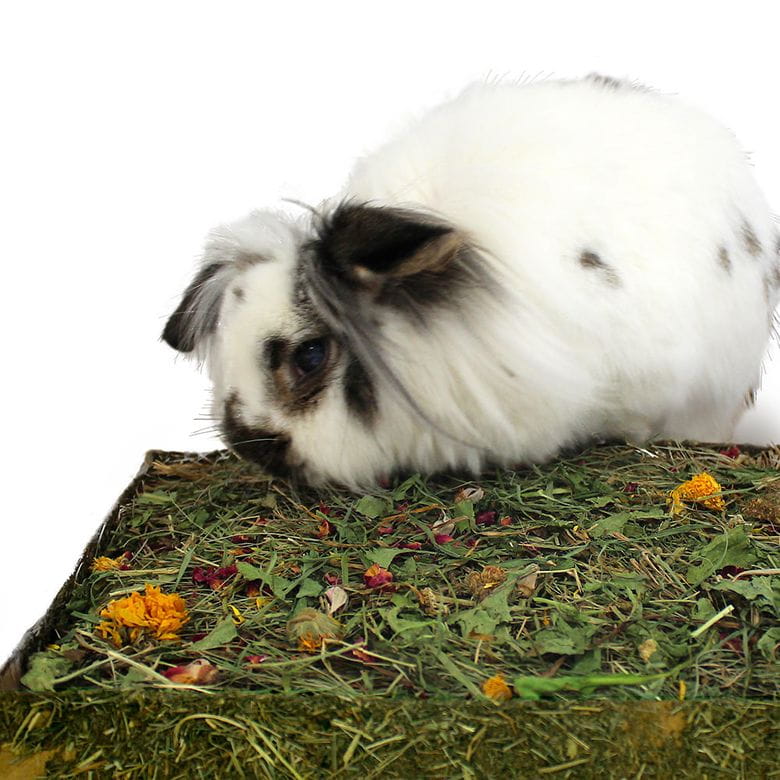 Parcelita para llevar - Raíces y flores