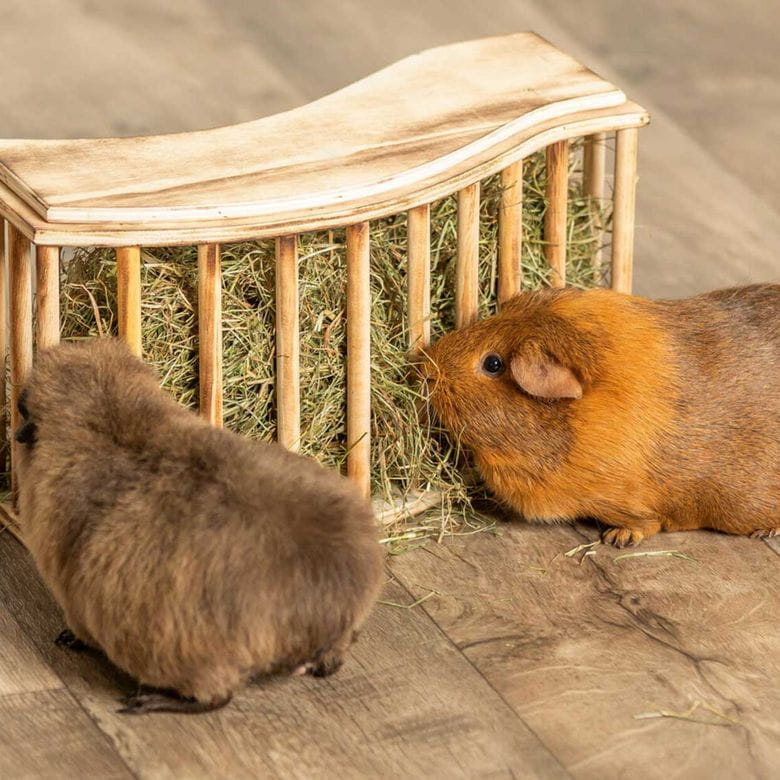 Henera Wave - Catering bar