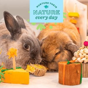 Oxbow Enriched Life- Birthday Party Pack