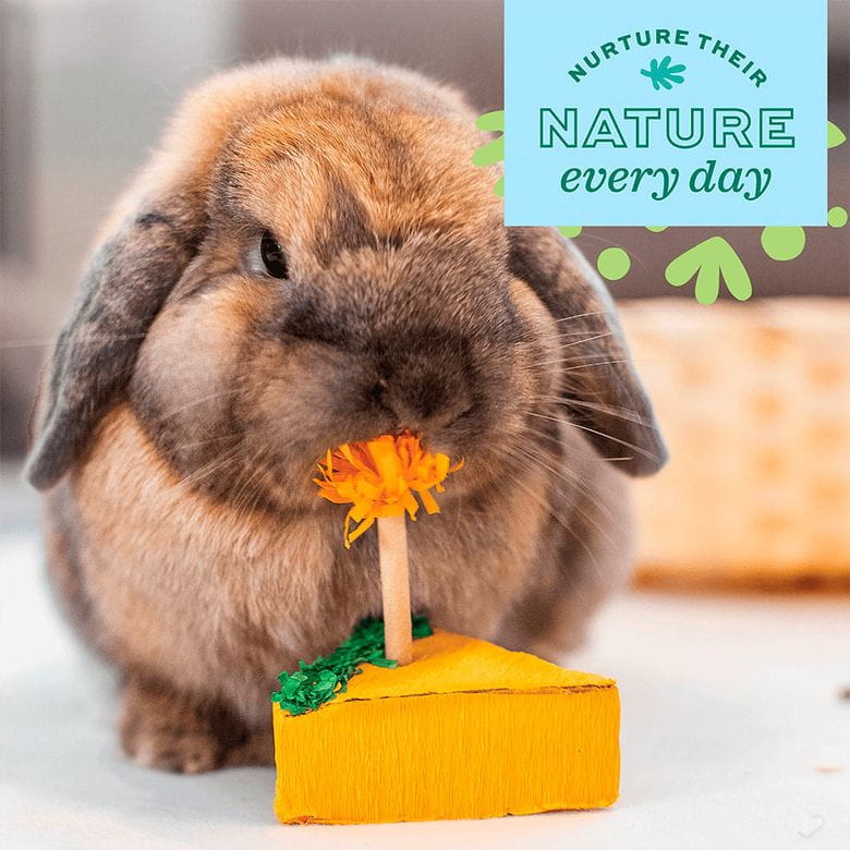 Oxbow Enriched Life- Birthday Party Pack