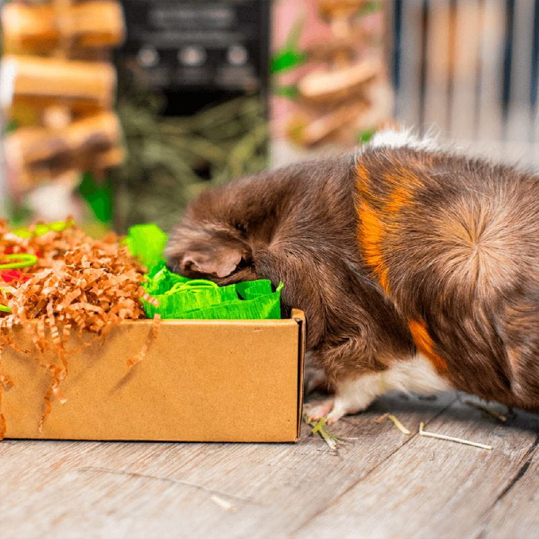 Oxbow Enriched Life - Garden Dig Box