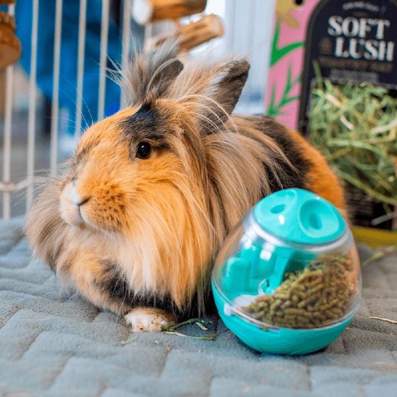 Oxbow Enriched Life - Wobble Teaser