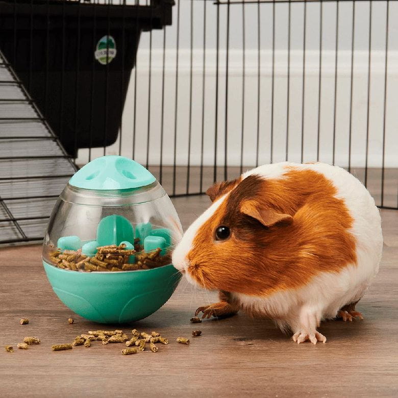 Oxbow Enriched Life - Wobble Teaser