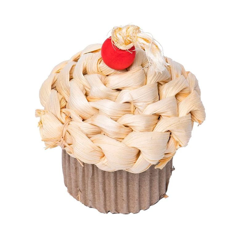 Celebration Cupcake