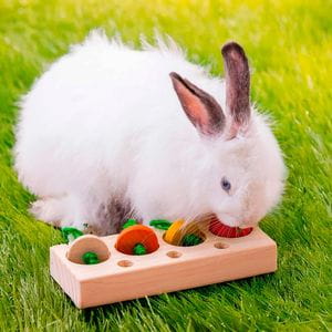 Veggies Snack Puzzle
