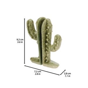Pack 2 cactus comestibles