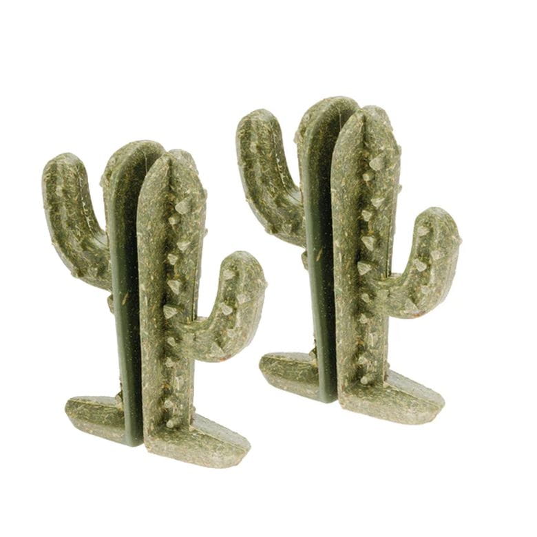 Pack 2 cactus comestibles