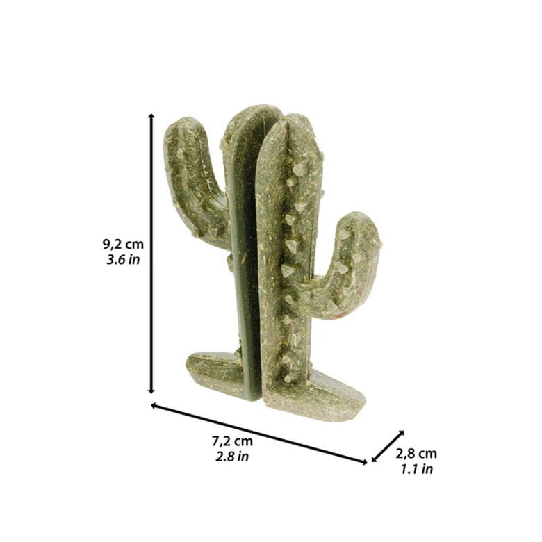 Pack 2 cactus comestibles