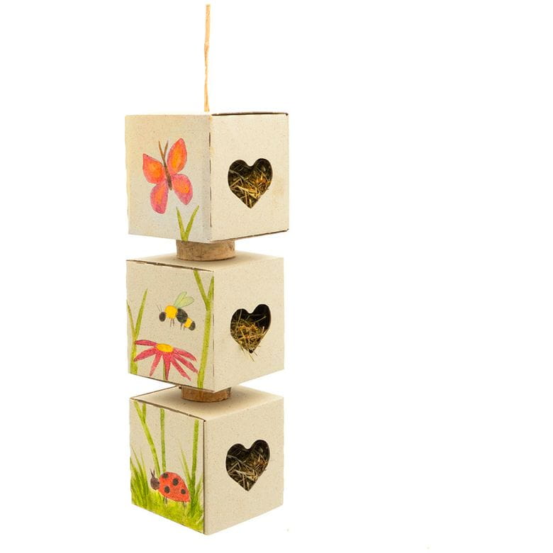 Set de pinturas naturales comestibles