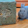 img-20210314-wa0001.jpg