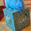 img-20210314-wa0008.jpg