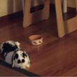 cone.jpg