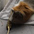img-20221207-wa0011.jpg
